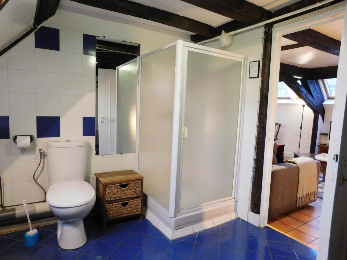 Appartement Typique Et Cosy A Deux Pas De La Cathedrale Strasbourg Eksteriør billede